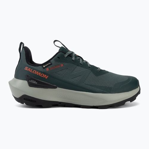 Încălțăminte de drumeție pentru bărbați Salomon Elixir Activ GTX scarab/green gable