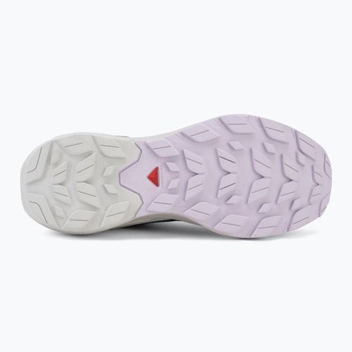 Încălțăminte de drumeție pentru femei Salomon Elixir Activ GTX shskin/glacier gray/opetal