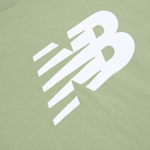 Tricou pentru bărbați New Balance Graphic V Flying oregano