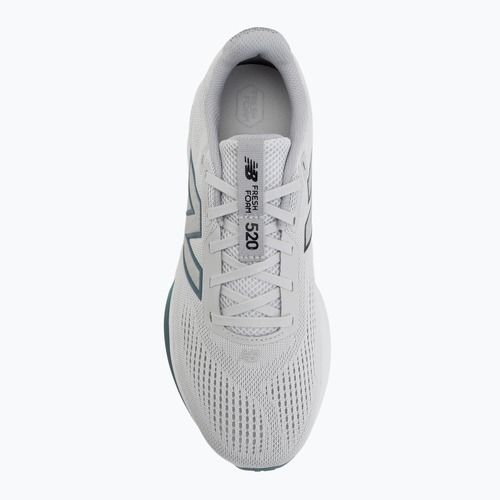 Încălțăminte de alergare pentru bărbați  New Balance Fresh Foam 520's V9 grey matter/raincloud/salt water