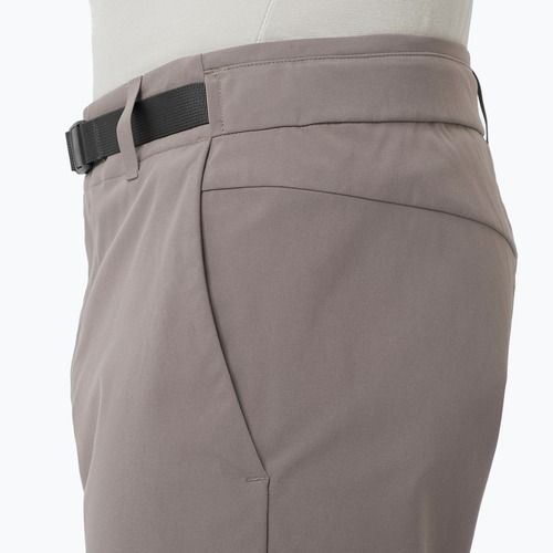 Pantaloni scurți de trekking pentru bărbați Salomon Outerpath Utility iron