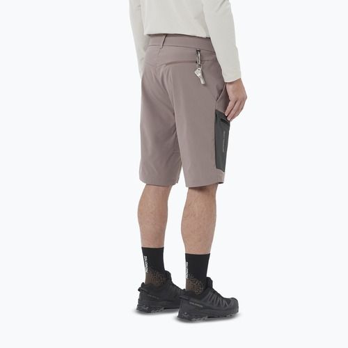 Pantaloni scurți de trekking pentru bărbați Salomon Outerpath Utility iron
