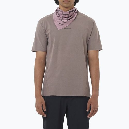 Tricou pentru bărbați Salomon Trackline iron