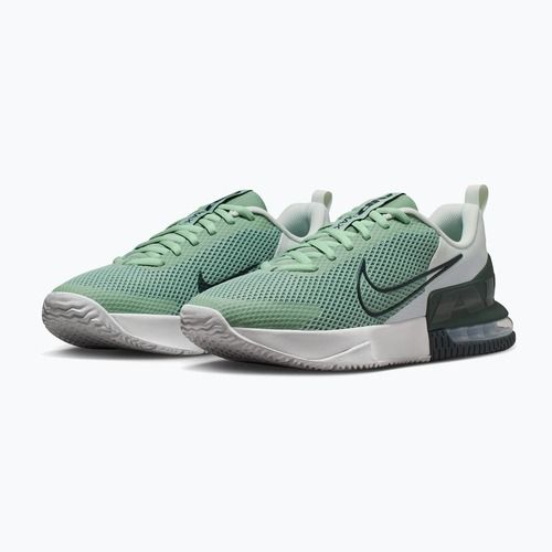 Încălțăminte de antrenament pentru bărbați Nike Air Max Alpha Trainer 6 steam/spruce aura/off white/black spruce