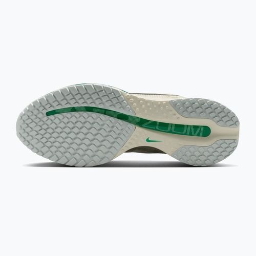 Încălțăminte de alergare pentru femei Nike Pegasus Premium sea glass/malachite/metallic silver