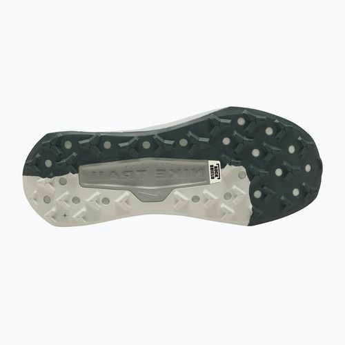 Încălțăminte de alergare pentru bărbați Nike Wildhorse 10 spruce fog/sea glass/black spruce