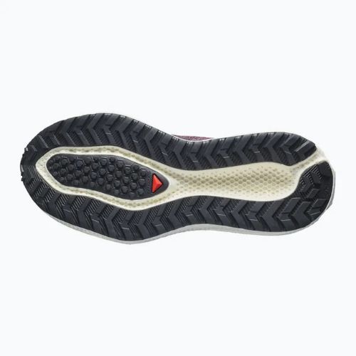 Încălțăminte de alergare pentru femei Salomon Aero Glide 4 GRVL huckleberry/black