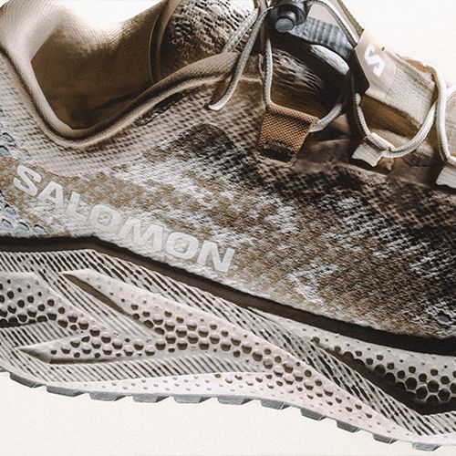 Încălțăminte de alergare pentru femei Salomon Aero Glide 4 GRVL tapioca/desert tan