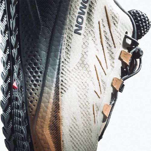 Încălțăminte de alergare pentru bărbați Salomon Aero Blaze 4 GRVL GTX vanilla ice/black