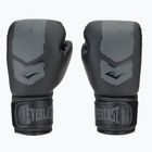 Mănuși de box Everlast Prospect 2 black