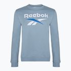 Bărbați Reebok Identity Big Logo Fleece Crew sweatshirt upgrade albastru
