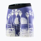 Boxeri pentru bărbați Stance In Paradise Brief blue