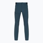Pantaloni de trekking pentru bărbați Salomon Wayfarer albastru LC1713700