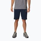 Pantaloni scurți de trekking pentru bărbați Columbia Logo Fleece bleumarin 1884601464