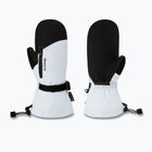 Mănuși de snowboard pentru femei Dakine Sequoia Gore-Tex Mitt Ancient Water