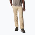 Pantaloni de trekking pentru bărbați Columbia Silver Ridge Utility ancient fossil