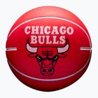 Minge Super Mini Wilson NBA Dribbler Chicago Bulls red