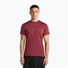 Tricou de trekking pentru bărbați icebreaker Merino 125 Cool-Lite Sphere III port