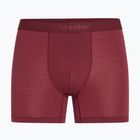 Boxeri termoactivi pentru bărbați icebreaker Anatomica Boxers port