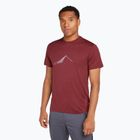 Tricou de trekking pentru bărbați icebreaker Merino 150 Tech Lite Southern Constellation port