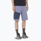 Pantaloni scurți de trekking pentru bărbați Salomon Outerpath Utility blue granite / blue nights