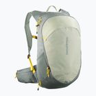 Rucsac turistic Salomon Trailblazer 20 l sedona sage/seagrass/cress green