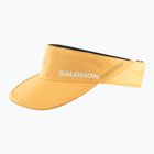 Vizieră Salomon SHAKEout apricot