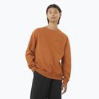 Bluză pentru bărbați Salomon Logo Crewneck sierra