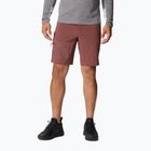 Pantaloni scurți de trekking pentru bărbați Columbia Titan Pass maro 1886441640