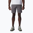 Pantaloni scurți de trekking pentru bărbați Columbia Logo Fleece gri 1884601023