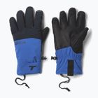 Mănuși de schi pentru bărbați Columbia PowBound mountain blue / black