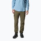 Pantaloni de trekking pentru bărbați Columbia Skien Valley Cargo stone green