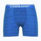 Boxeri termici pentru bărbați icebreaker Anatomica lazurite/midnghtnvy/aop