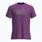 Tricou de trekking pentru bărbați icebreaker Merino 125 Cool-Lite Sphere Tee Across The Peaks passion