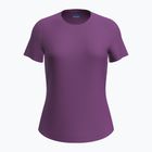 Tricou de trekking pentru femei icebreaker Merino 125 Cool-Lite Sphere III SS Tee passion