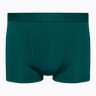 Boxeri termici pentru bărbați Anatomica Cool-Lite verde 105223