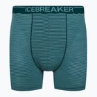 Icebreaker Anatomica Greenglory, boxeri termici pentru bărbați 103029