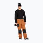 Pantaloni de snowboard pentru bărbați Volcom Roan caramel