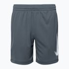 Pantaloni scurți pentru copii Nike Dri-Fit Multi smoke grey/white/white