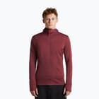 Bluză pentru bărbați Icebreaker Merino 260 Quantum IV LS Zip Hoodie port/agate