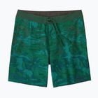 Pantaloni bărbătești Patagonia Hydropeak Boardshorts pentru bărbați Cliffs and coves/conifer green
