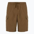 Pantaloni scurți pentru bărbați Vans Range Cargo Loose Short