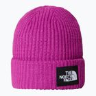 Căciulă pentru copii The North Face Salty deep mulberry