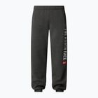 Pantaloni pentru bărbați The North Face Varsity Graphic medium grey heather