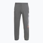 Pantaloni pentru bărbați The North Face Varsity Graphic medium grey heather