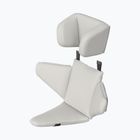 Scaun pentru remorcă de bicicletă Thule Baby Supporter 2.0