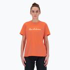 Tricou pentru femei New Balance Script Tee gulfred