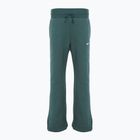 Pantaloni pentru femei Nike Sportswear Phoenix Fleece vintage green / sail