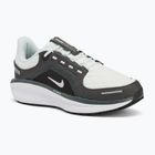 Încălțăminte de alergare pentru femei Nike Winflo 11 GORE-TEX anthracite/black/photon dust/metallic silver