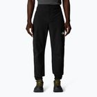 Pantaloni de trekking pentru bărbați The North Face Alpine Ridge Regular Tapered black/npf